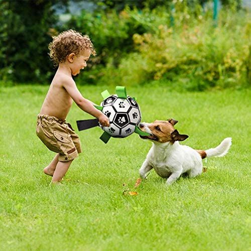 DogLove™ PowerPaws TugBall